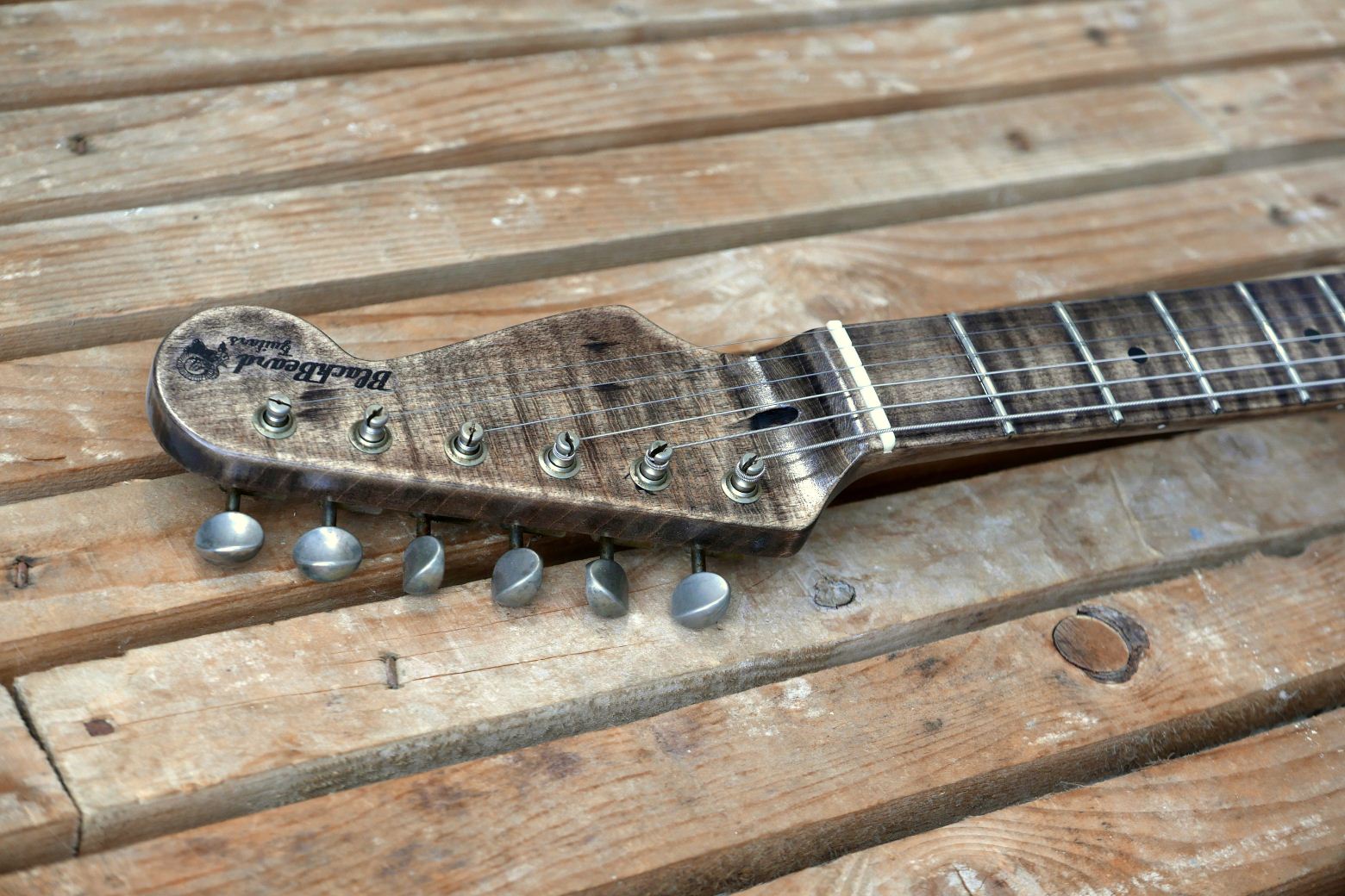 chitarra stratocaster paletta