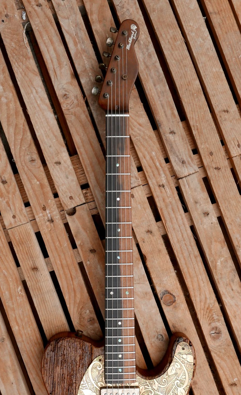 telecaster guitar ebony fingerboard
