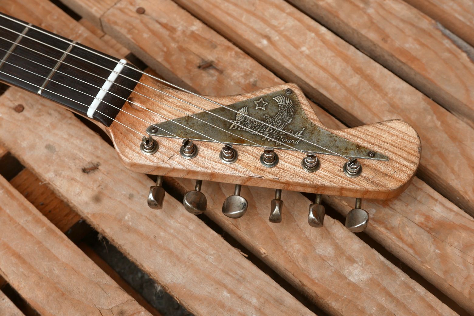 firebird chitarra paletta