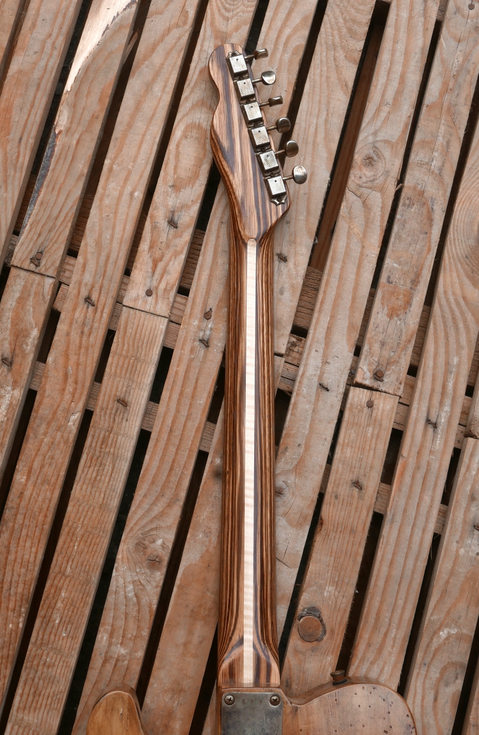 telecaster chitarra manico zebrano retro